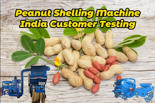 Tin tức mới nhất của công ty về Làm thế nào để loại bỏ vỏ đậu phộng? --- Máy tách vỏ đậu phộng