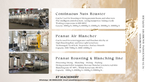 Latest company news about Cách mạng hóa chế biến đậu phộng của bạn với XT MACHINERY's Advanced Peanut Roasting and Blanching Line