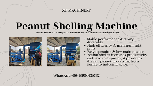Latest company news about Mẫu máy xẻ đậu phộng
