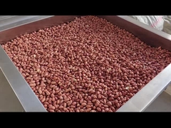 PLC điều khiển hạt liên tục lò nướng hạt liên tục máy sấy/nướng