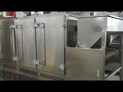 Máy nướng hạt liên tục