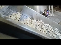 Máy Chiên Liên Tục