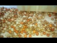 Dây chuyền sản xuất tráng và rang