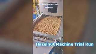 Video chạy thử máy Hazelnut có ở đây! Sự lựa chọn hoàn hảo cho các nhà máy chế biến thực phẩm. #máy móc