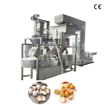 Máy sơn đậu phộng hoàn toàn tự động Máy sơn đơn trạm