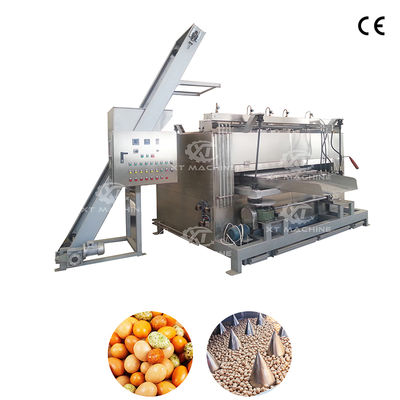 50-100kg/h Capacity Nut Swing Roaster Machine Peanut Oven với 304 Stainless Steel Construction