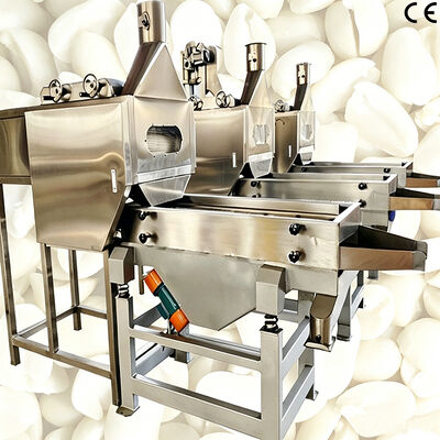 Máy làm trắng hạt hạt đậu phộng, thiết bị cắt và làm trắng chính xác để chế biến hạt đậu phộng
